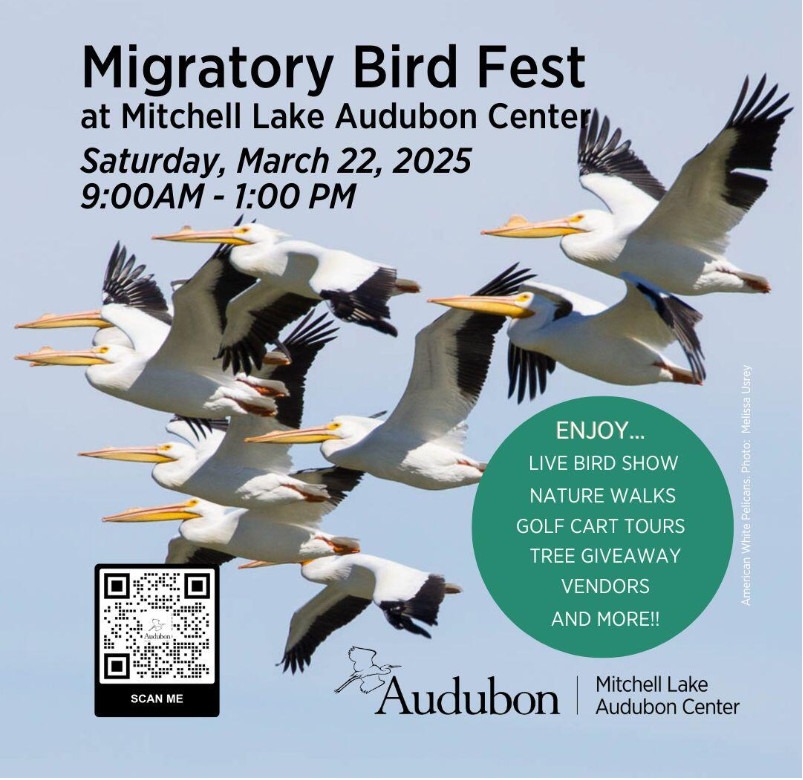 Banner for Mitchell Lake Audubon Center 2025 Migratory Bird Fest