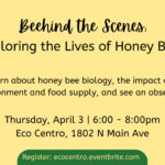 Banner for Eco Centro The Lives of Honey Bees workshop