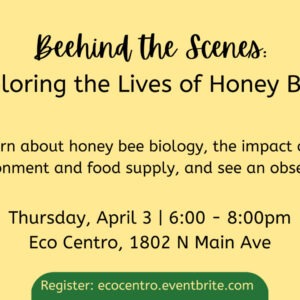 Banner for Eco Centro The Lives of Honey Bees workshop