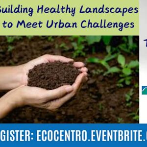 Banner showing hands holding healthy soil